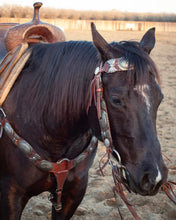 Load image into Gallery viewer, The Dinero Headstall