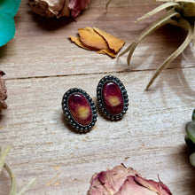 Load image into Gallery viewer, MJ Purple Spiny Oyster Stud Earrings