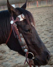 Load image into Gallery viewer, The Dinero Headstall