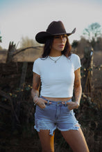 Load image into Gallery viewer, Breanne Distressed High Rise Shorts