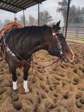 Load image into Gallery viewer, The Dinero Headstall