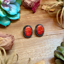 Load image into Gallery viewer, MJ Red Spiny Oyster Oval Stud Earrings