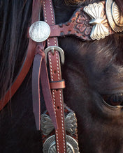 Load image into Gallery viewer, The Dinero Headstall