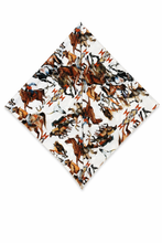 Load image into Gallery viewer, Derby Breeze Western Scarf