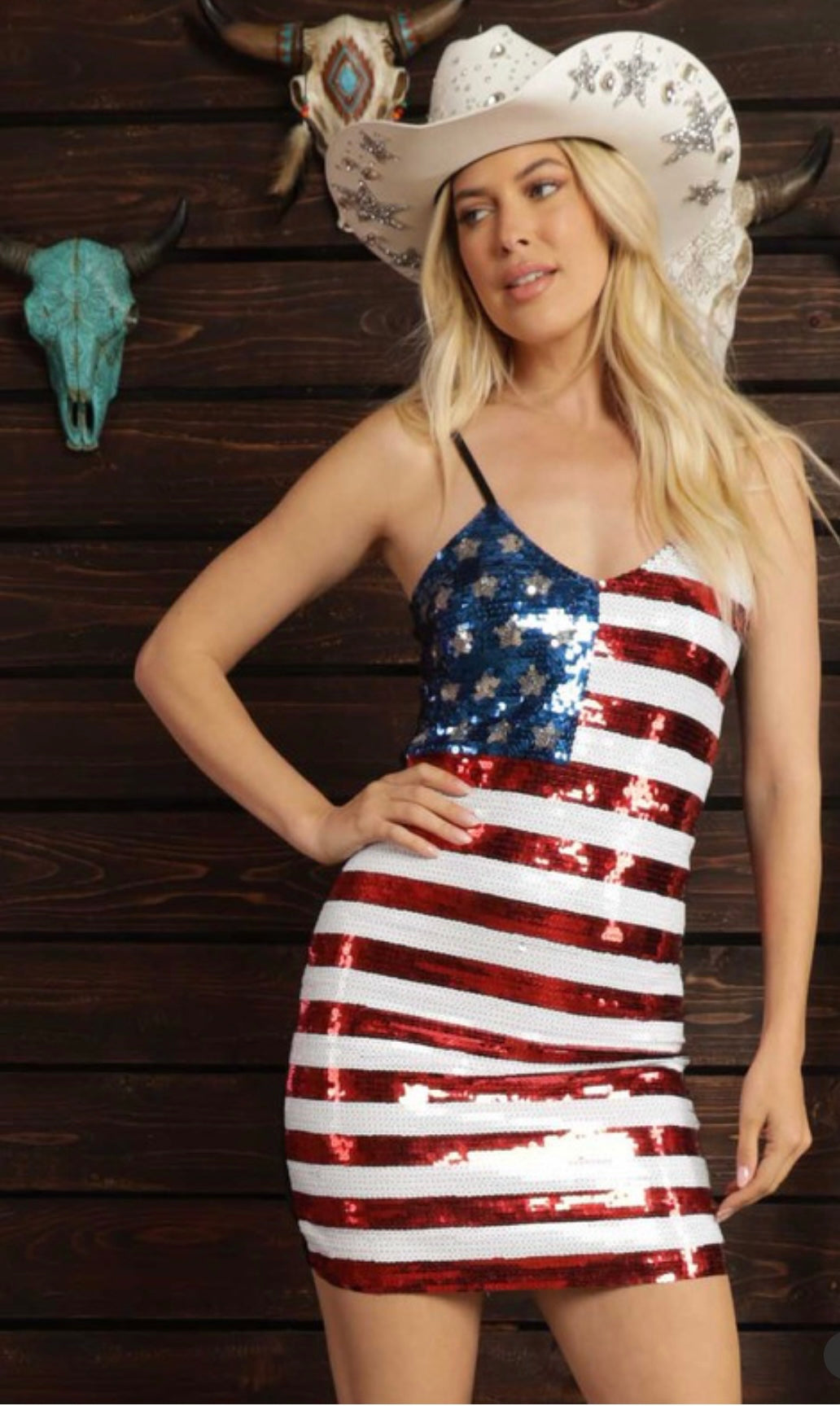 American Flag Mini Dress Thunderbird Rustic American Flag Mini Dress Thunderbird Rustic